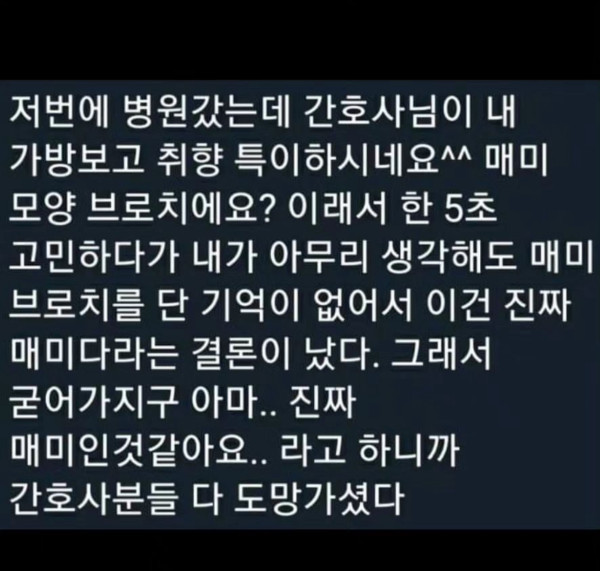 즐잼 특이한 생물 브로치.jpg