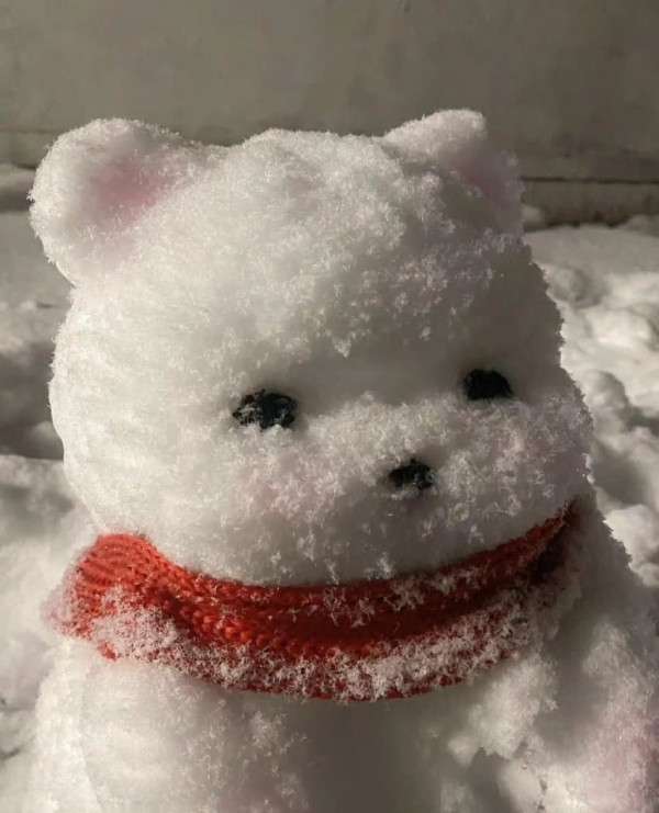 위트만점 눈강아지.jpg