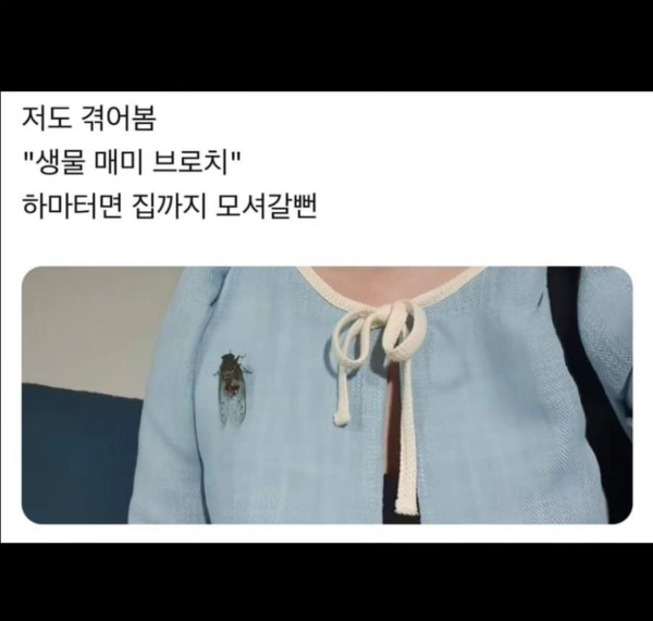 즐잼 특이한 생물 브로치.jpg