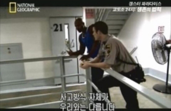개그센스글 아파트 회의에서 억울했다는 캣맘.jpg