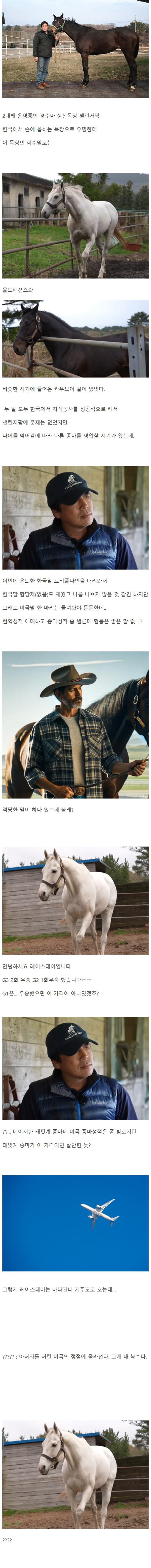 빵터지는 위구르 여행중인 여행 유튜버가 지나가던 아재랑 ....jpg