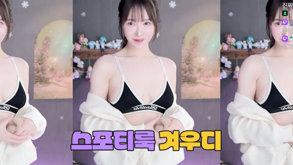 일상유머 네이버 치지직 수위 테스트 하는 여캠들.jpg