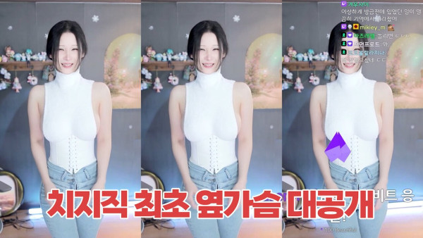 일상유머 네이버 치지직 수위 테스트 하는 여캠들.jpg