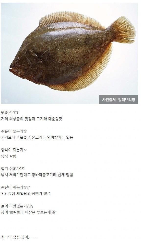 고딩유머 인류 역사상 최고의 생선.jpg