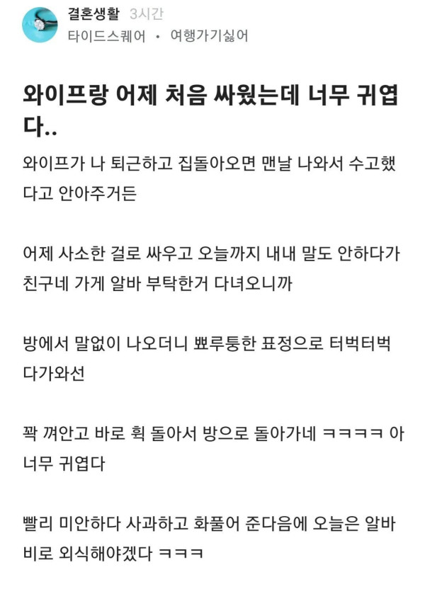 즐잼 와이프랑 어제 처음 싸웠는데 너무 귀엽다...jpg