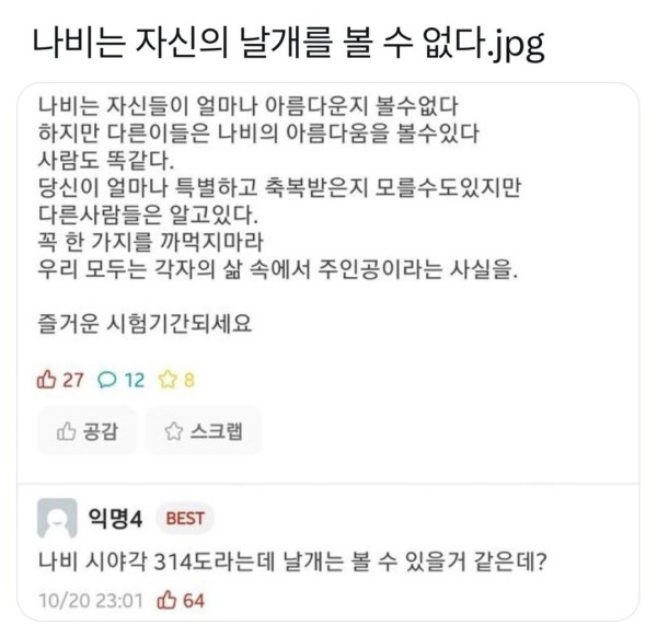 위트만점 나비는 자신의 날개를 볼 수 없다.jpg