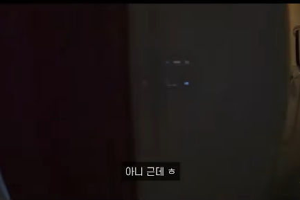 웃수저 이야기  유럽 여성에 놀란 여행 유튜버.jpg