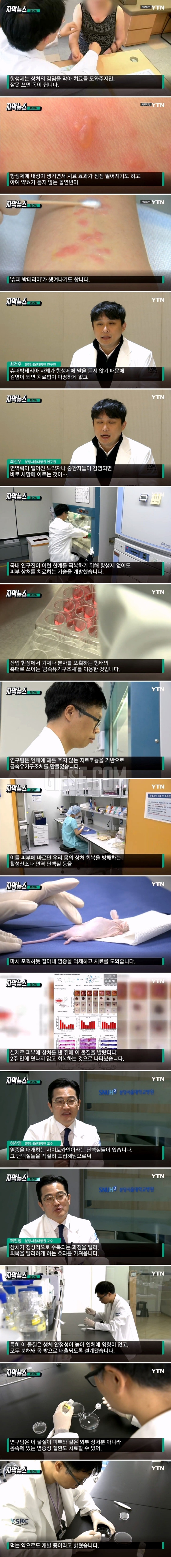 웃다 디짐 항생제 안 썼는데도...놀라운