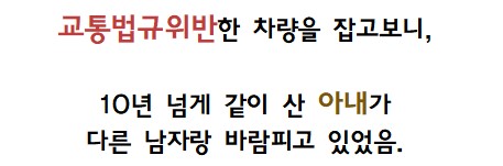 개그센스글 교통법규를 위반한 차량에 동승한 여성의 최후.jpg