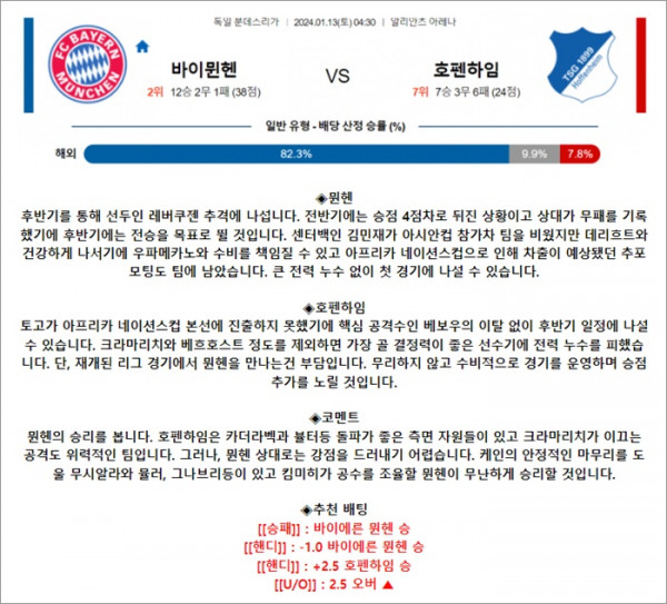 1월 13일 분데스리 바이뮌헨 호펜하임