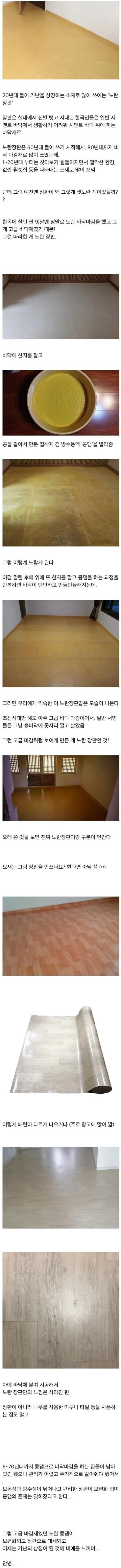 위트짱 가난의 상징이 된 노란장판의 비밀.jpg