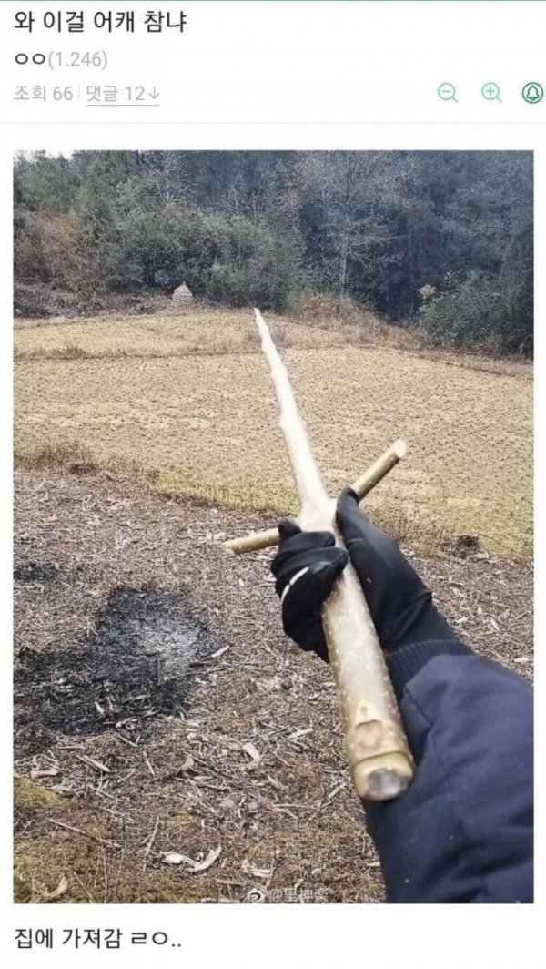 평범한  여자들은 잘 모르는 막대기의 세계 .