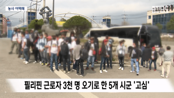 위트만점 전남에서 임금 착취 발생...필리핀, 근로자 파견 중단.jpg