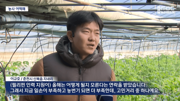 위트만점 전남에서 임금 착취 발생...필리핀, 근로자 파견 중단.jpg