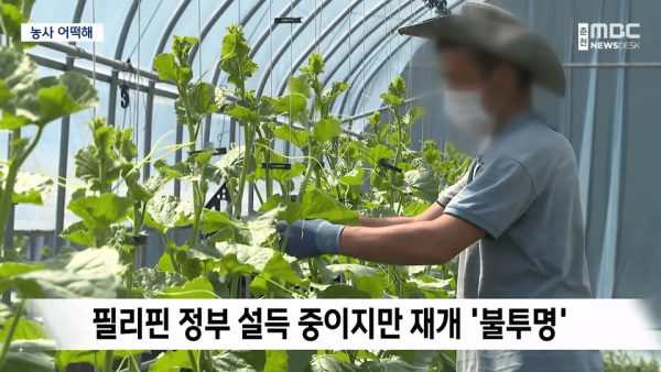 위트만점 전남에서 임금 착취 발생...필리핀, 근로자 파견 중단.jpg