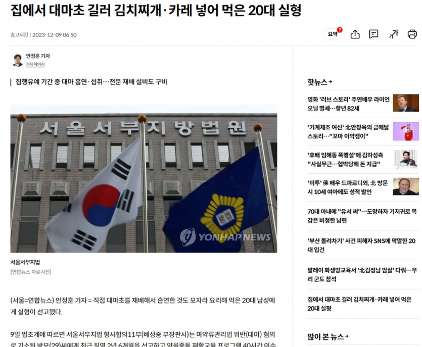 한국식 마약 복용법