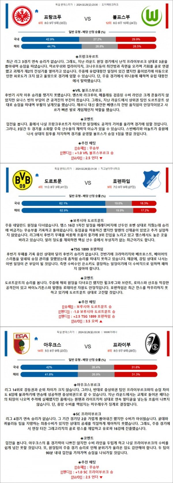 2월 25-26일 분데스리 3경기