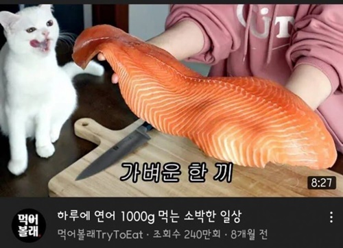 전문가가 연어의 품질을 인증했음