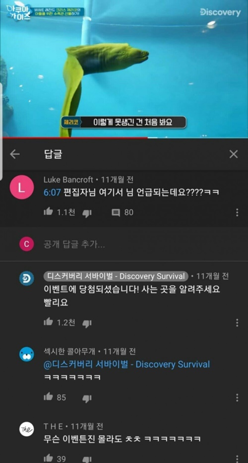 디스커버리 채널 편집자 얼굴 노출
