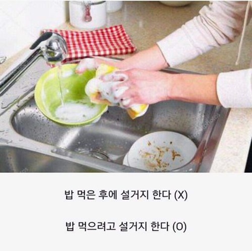 자취생 특징