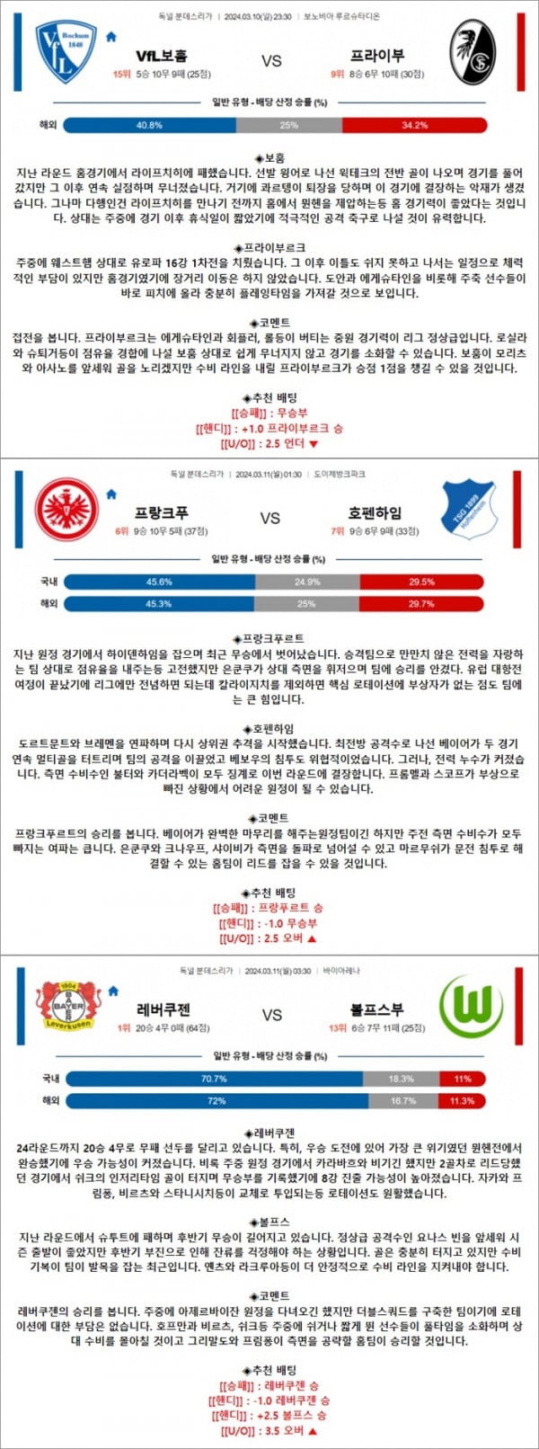 3월 10-11일 분데스리 3경기