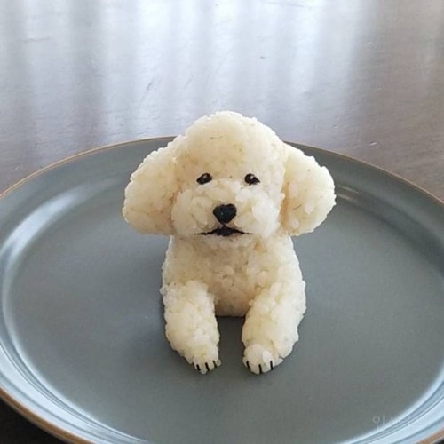 엄마가 개밥을 만들었는데 도저히 못먹겠다
