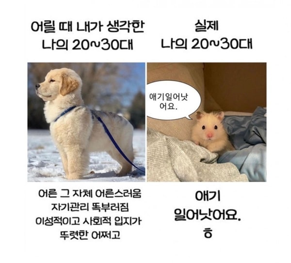 어릴 때 내가 생각한 20~30대