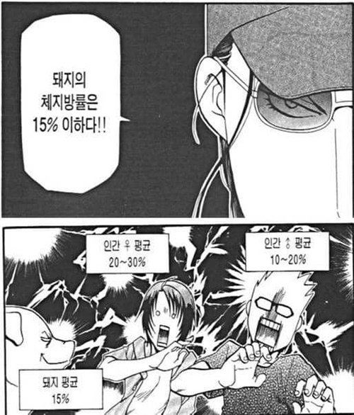 뚱뚱한 사람을 돼지라고 하면 안됨.