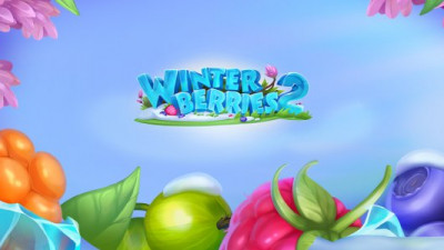 Winterberries 2