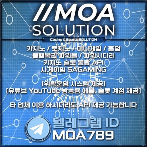 카지노 솔루션