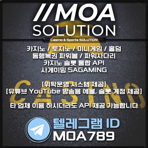 카지노 솔루션